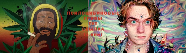 ПСИЛОЦИБИНОВЫЕ ГРИБЫ Беломорск
