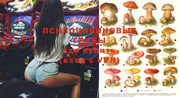 индика Балахна