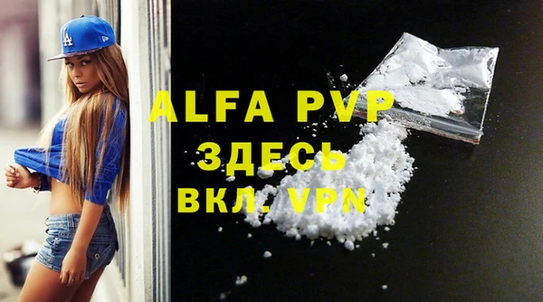 индика Балахна
