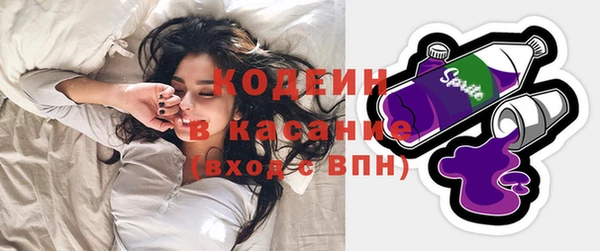 индика Балахна