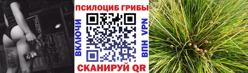 Купить где  Елабуга  Псилоцибиновые грибы ЛСД 